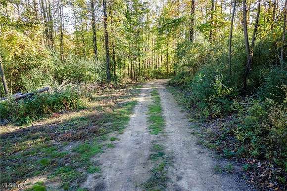 8.01 Acres of Land for Auction in East Canton, Ohio