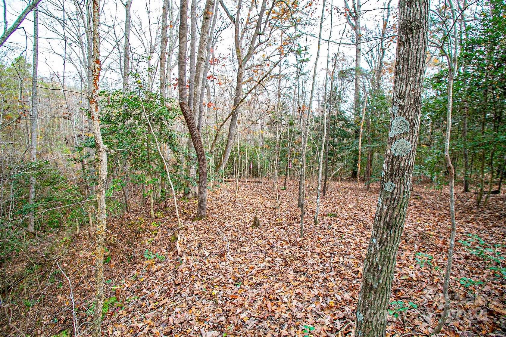 4.55 Acres of Residential Land for Sale in Ellenboro, North Carolina