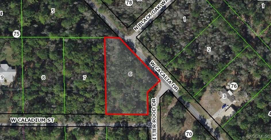 1.07 Acres of Residential Land for Sale in Crystal River, Florida