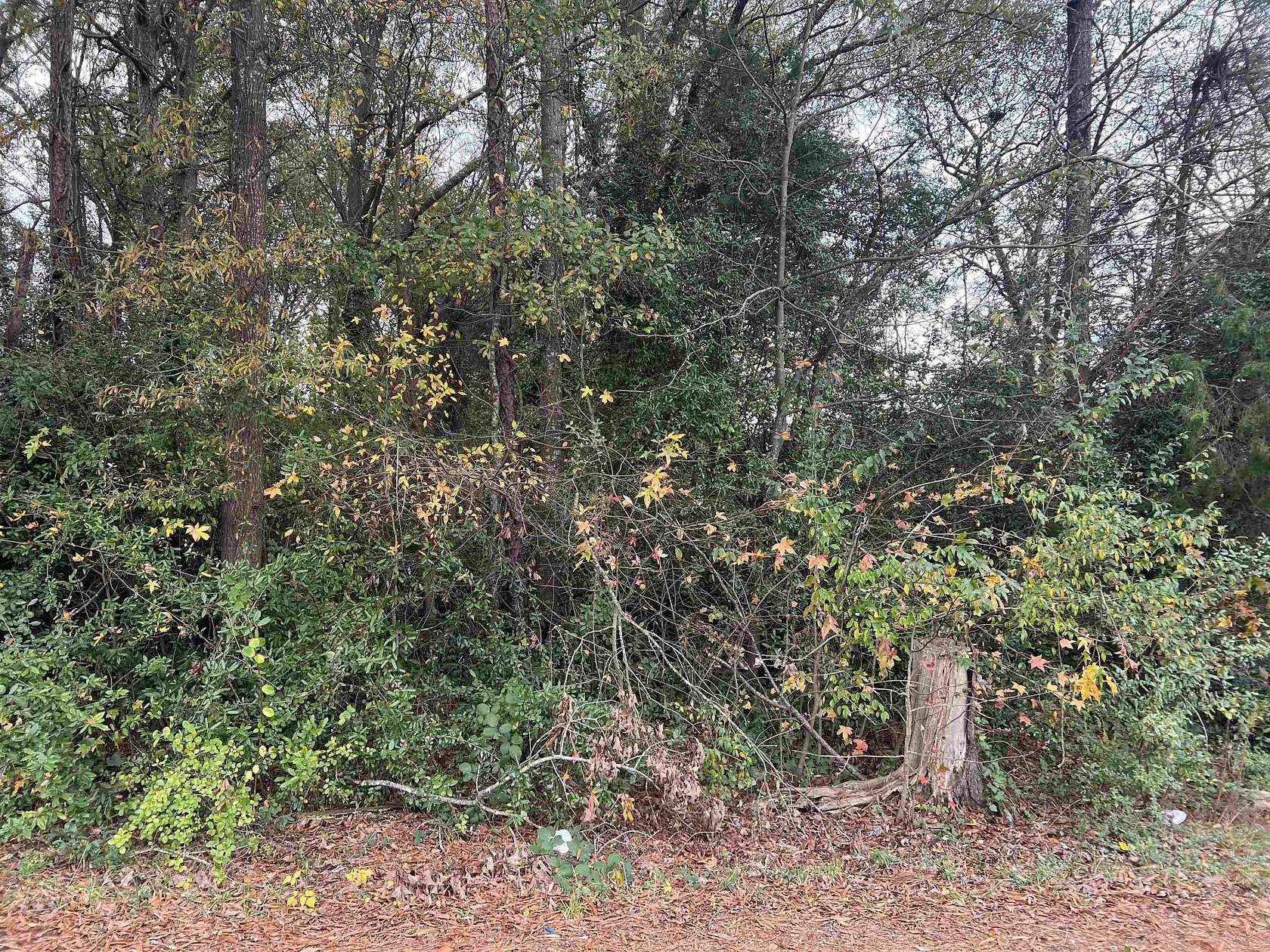 0.33 Acres of Residential Land for Sale in Spartanburg, South Carolina