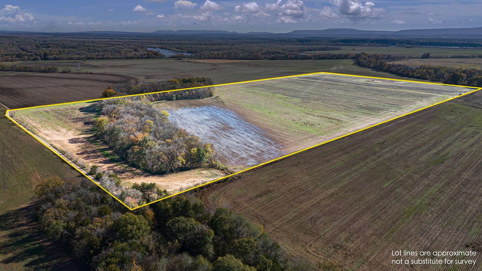 80 Acres of Land for Sale in Hartman, Arkansas