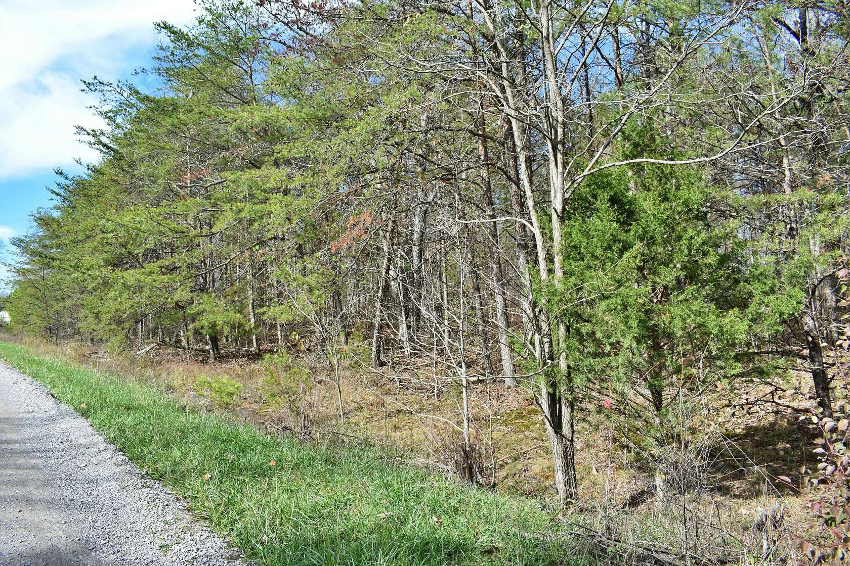 5.7 Acres of Residential Land for Sale in Spring City, Tennessee