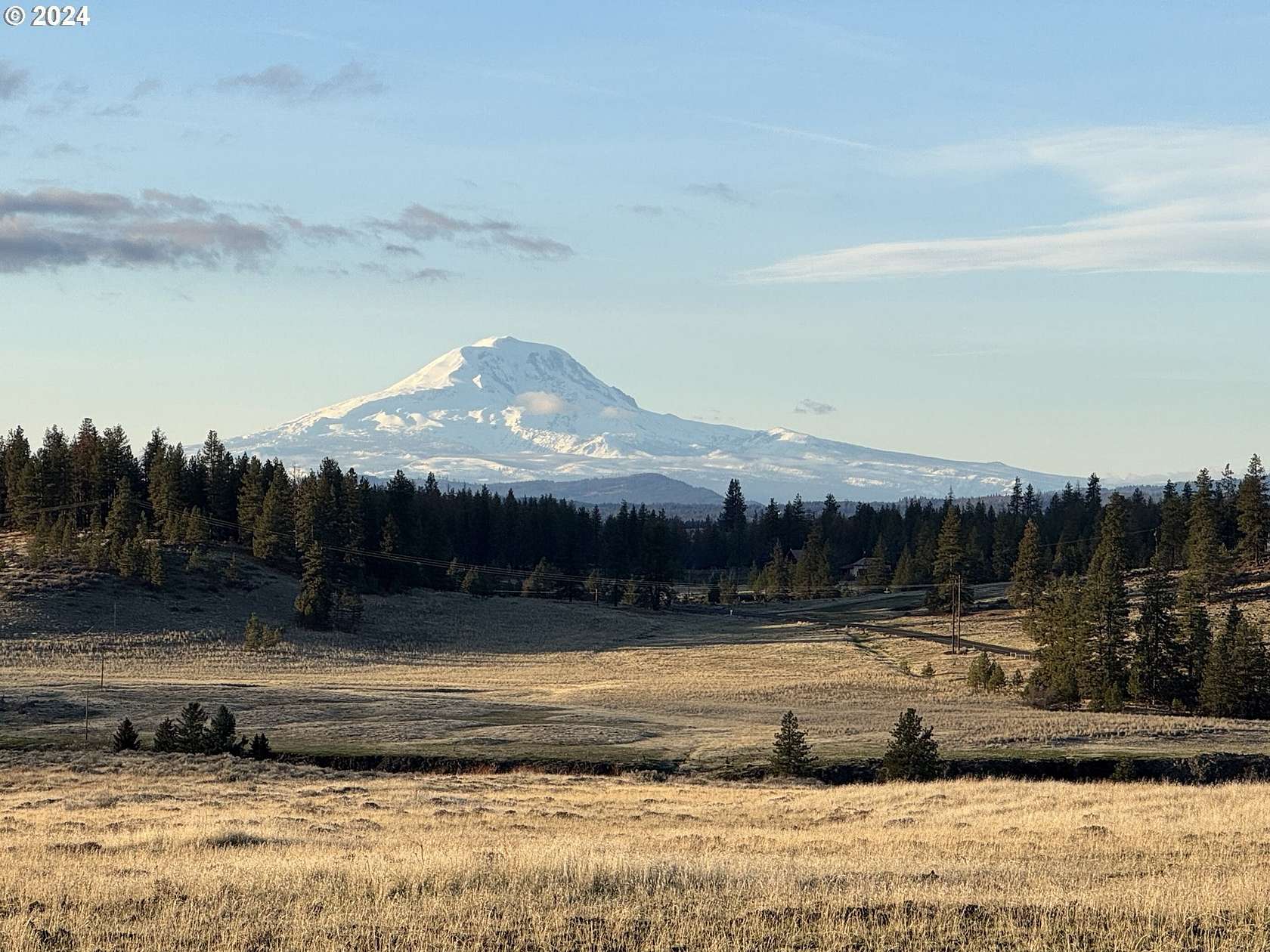 20.34 Acres of Land for Sale in Centerville, Washington