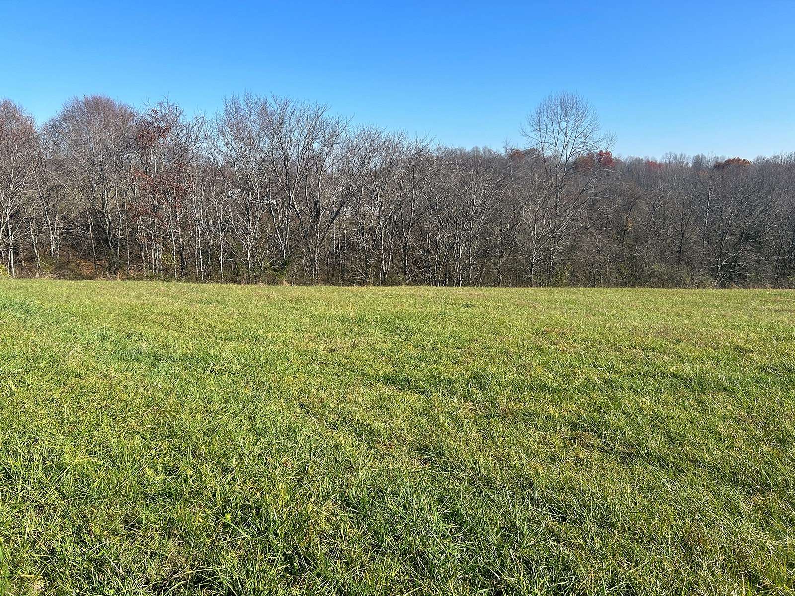 1.62 Acres of Residential Land for Sale in Liberty, Kentucky