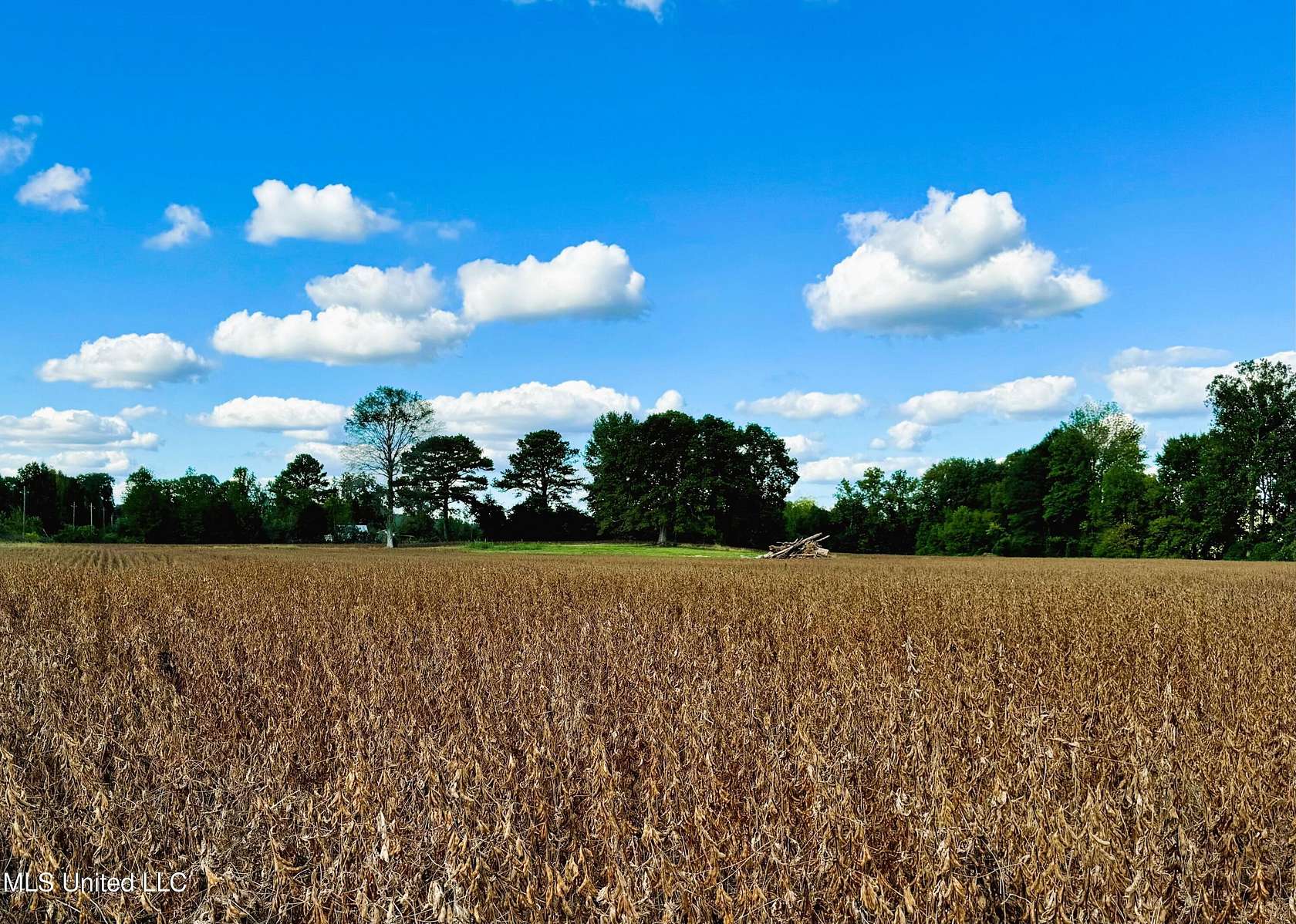 26.85 Acres of Agricultural Land for Sale in Banner, Mississippi