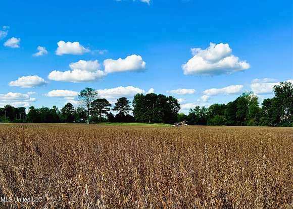 26.85 Acres of Agricultural Land for Sale in Banner, Mississippi