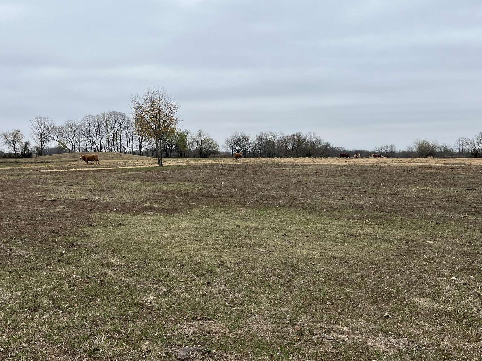 38.97 Acres of Recreational Land for Sale in Chelsea, Oklahoma