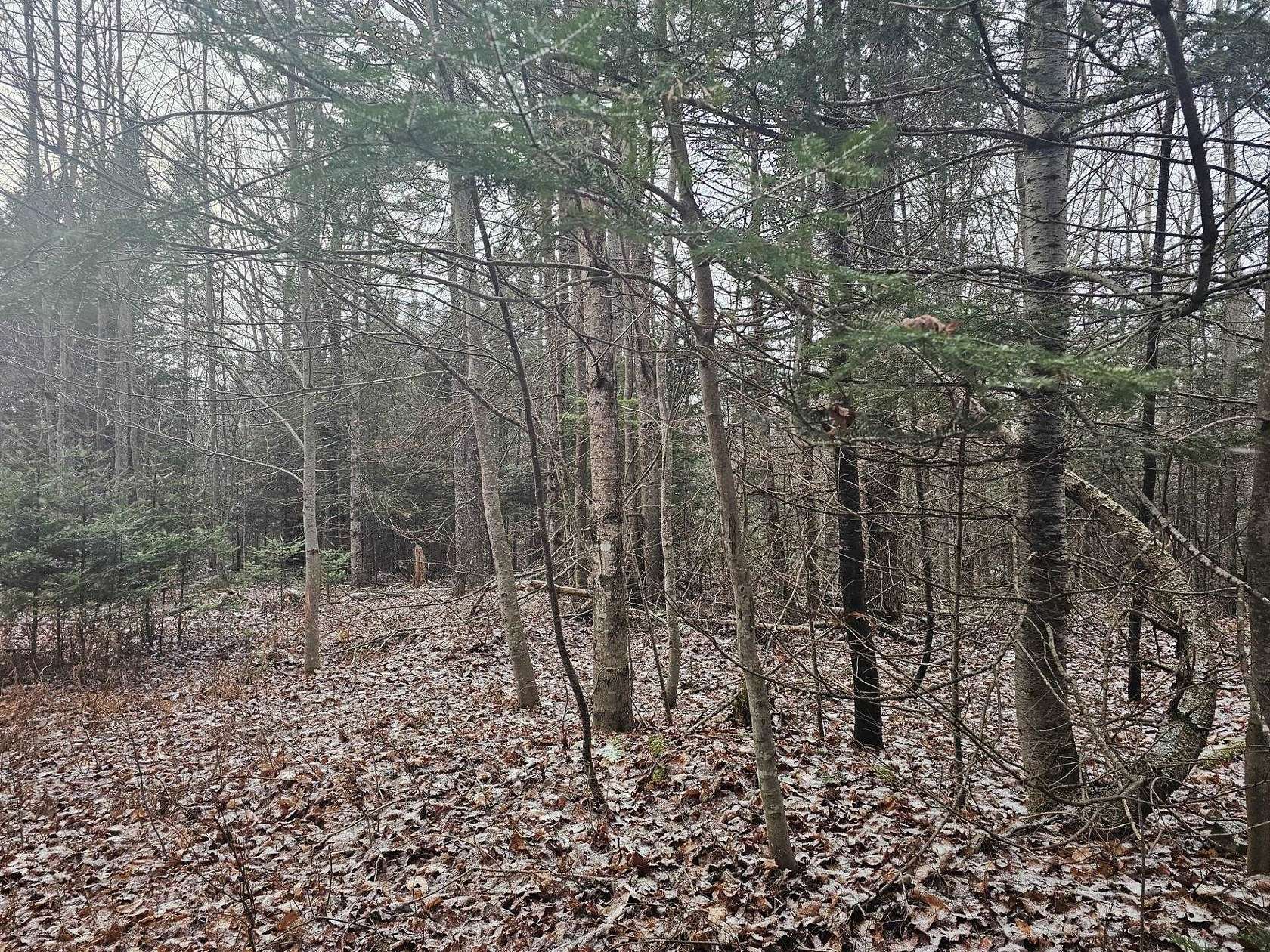 20 Acres of Recreational Land for Sale in Dummer, New Hampshire