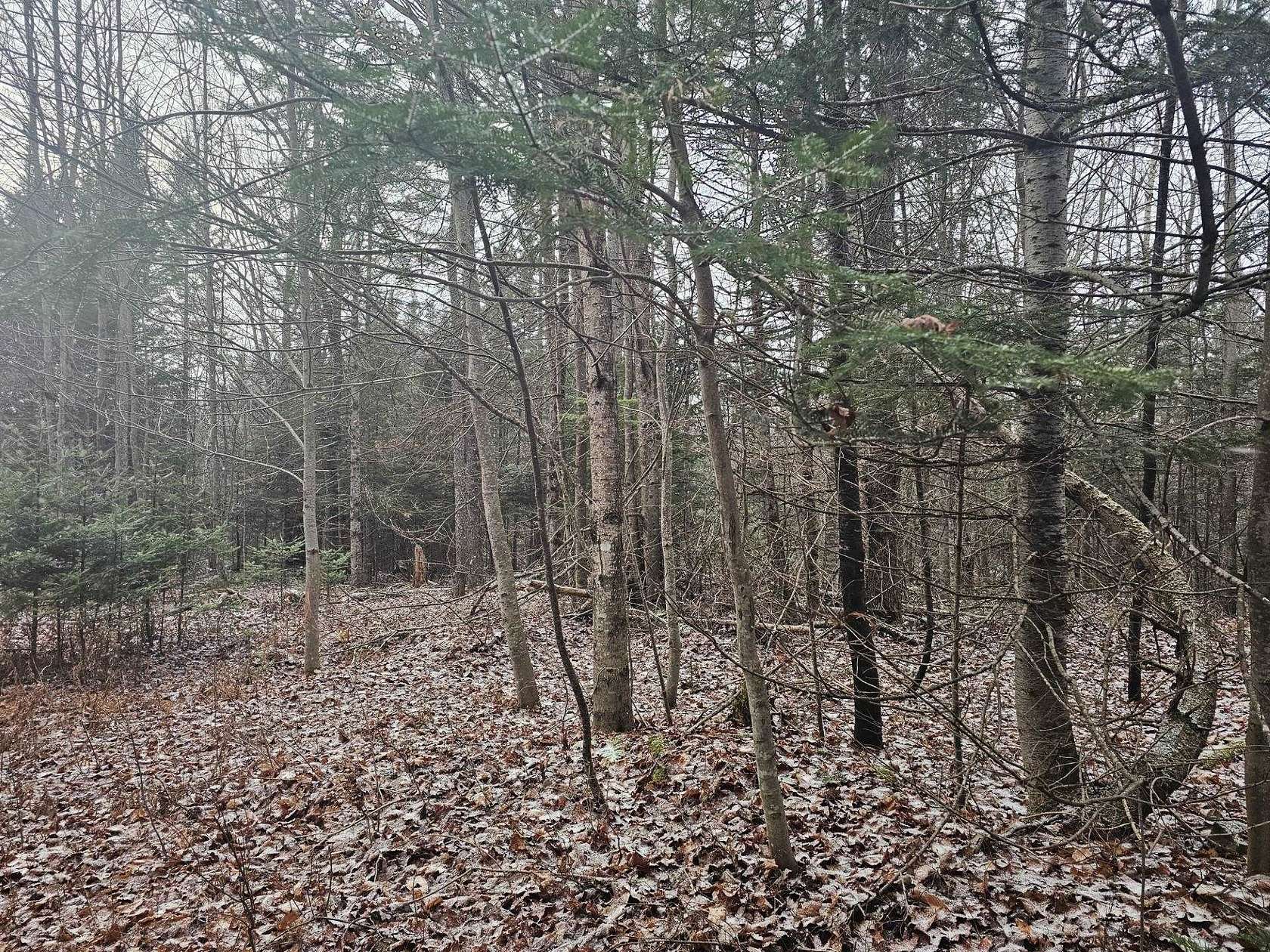 20 Acres of Recreational & Residential Land for Sale in Dummer, New Hampshire