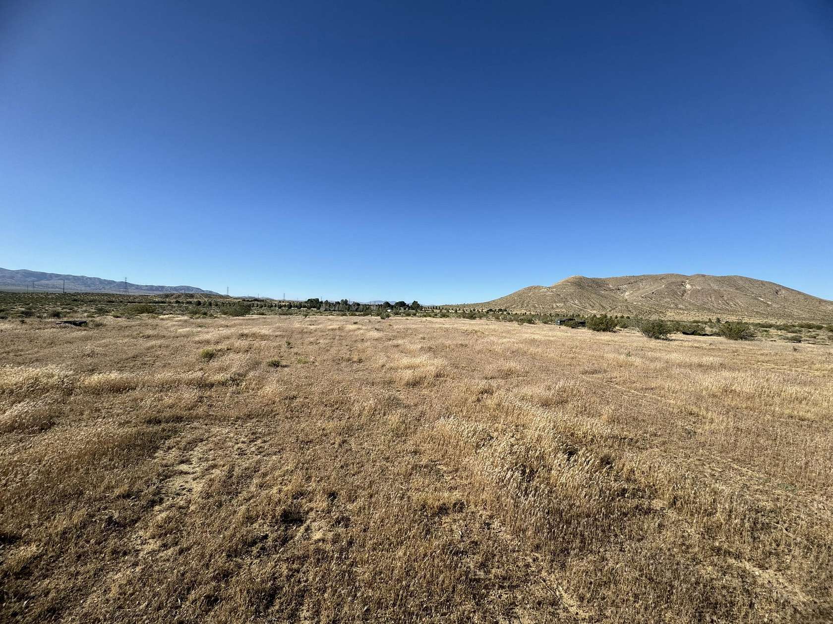 Land for Sale in Rosamond, California