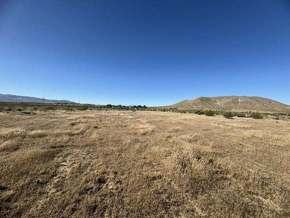 Land for Sale in Rosamond, California