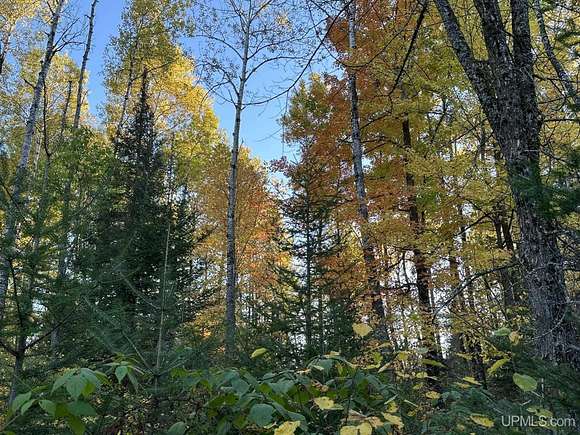 70.86 Acres of Recreational Land for Sale in Iron River, Michigan