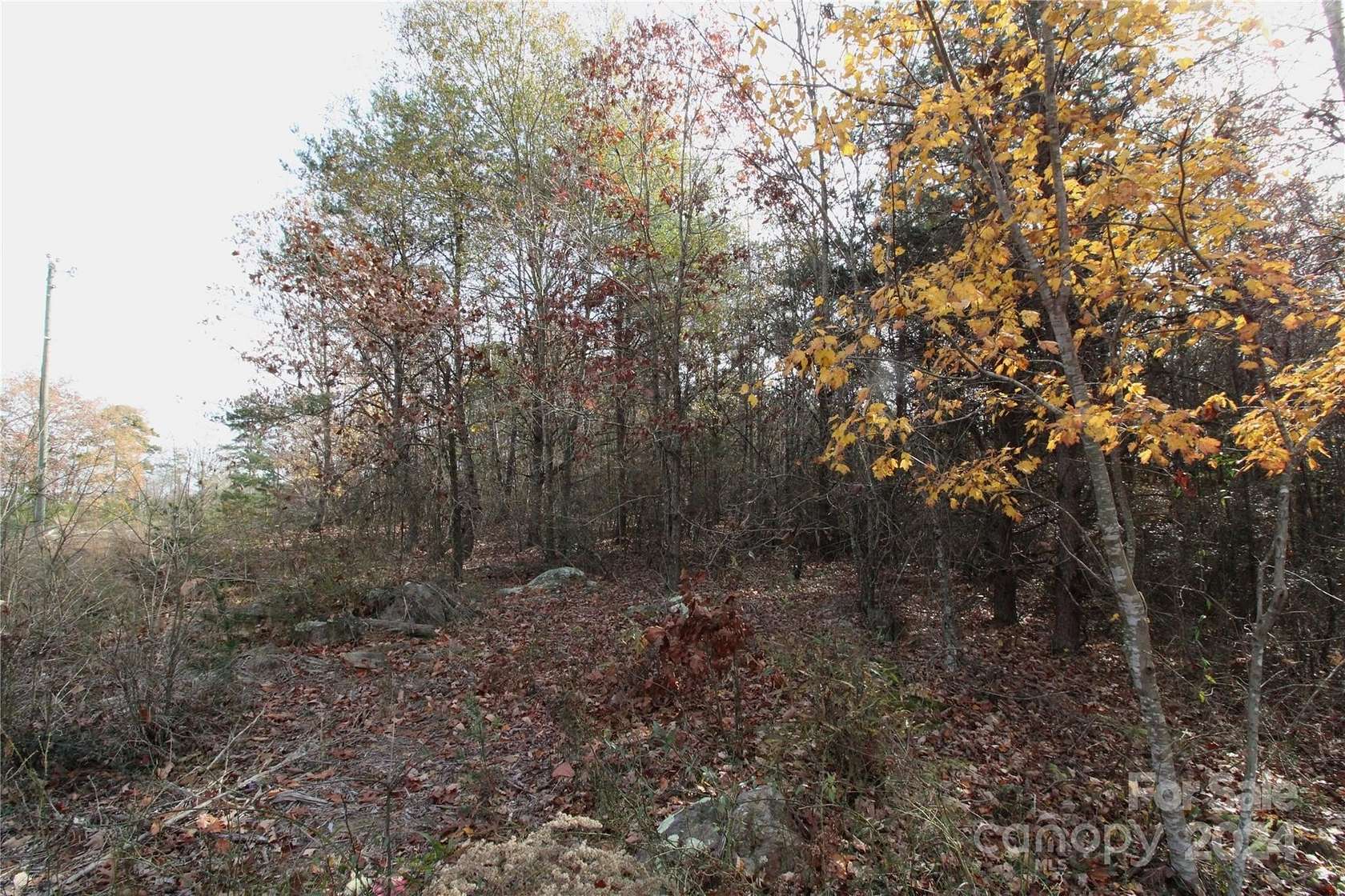 2 Acres of Commercial Land for Sale in Blacksburg, South Carolina