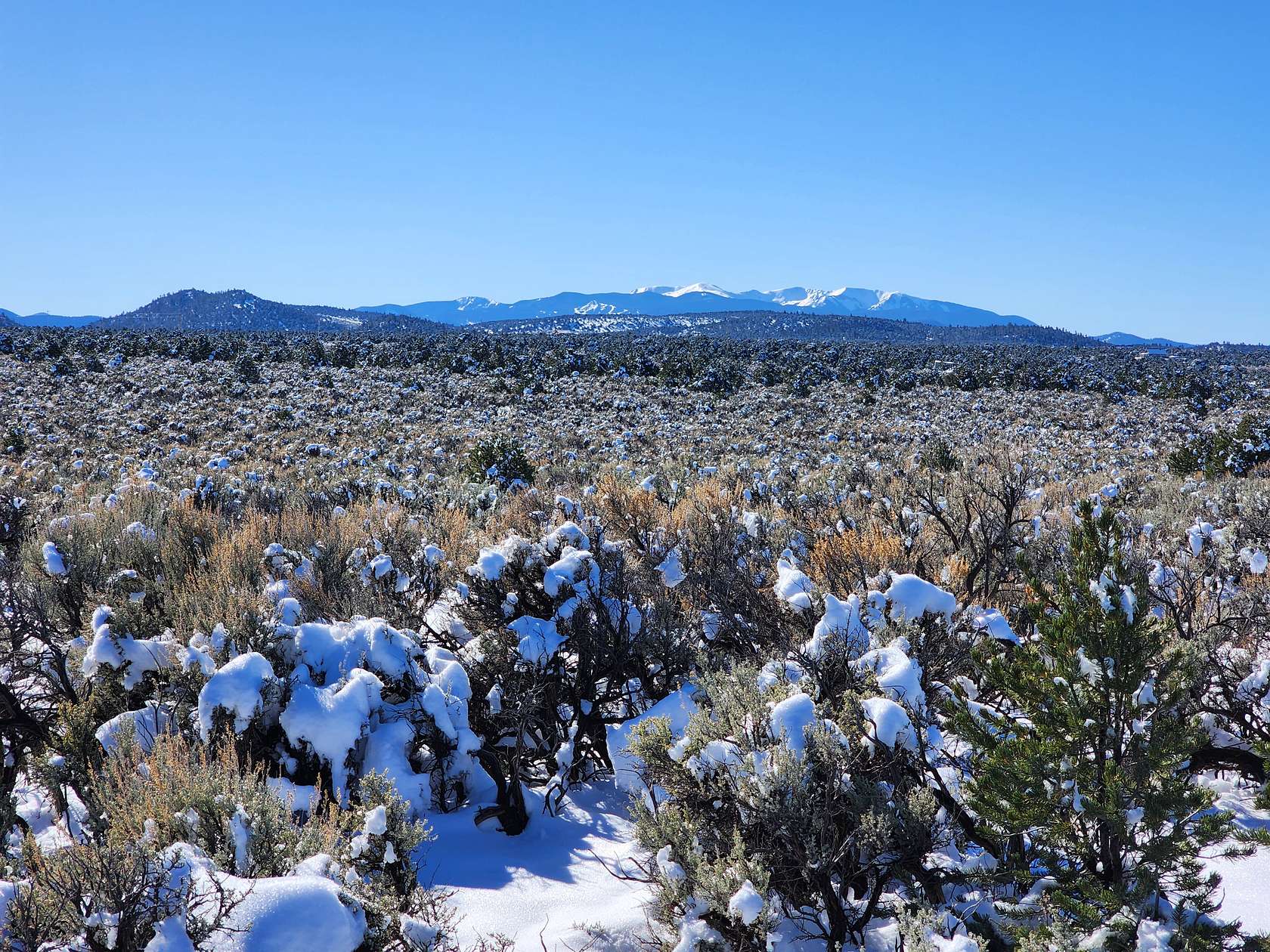 2.53 Acres of Residential Land for Sale in San Pablo, Colorado