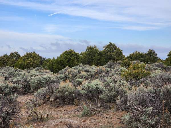 2.53 Acres of Residential Land for Sale in San Pablo, Colorado