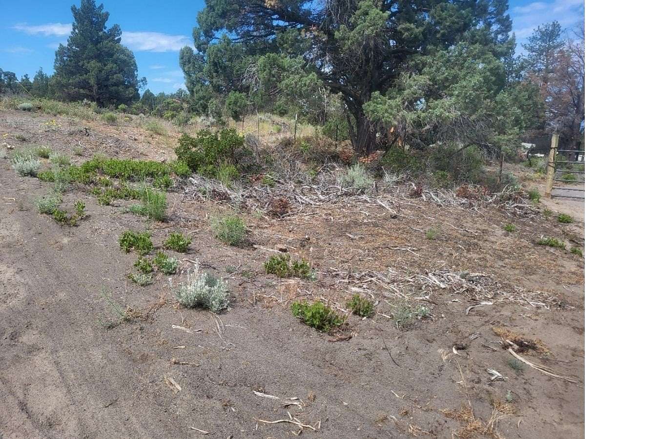 2.6 Acres of Residential Land for Sale in Montague, California