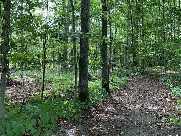 31.73 Acres of Recreational Land for Sale in Mckinley Township, Michigan