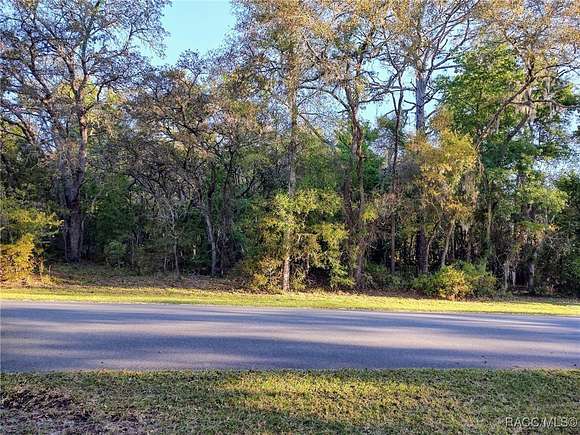 1.04 Acres of Residential Land for Sale in Hernando, Florida