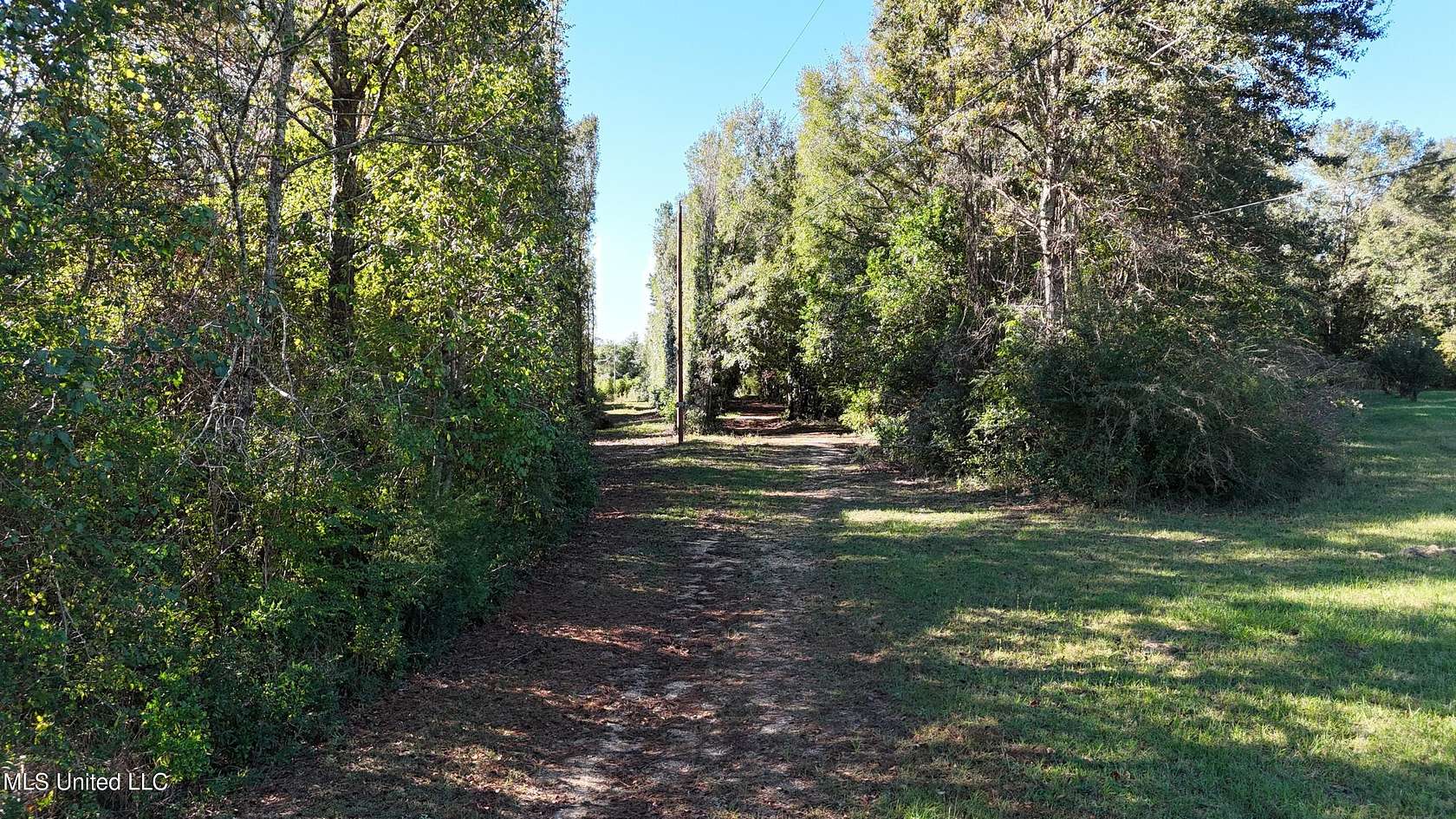 70 Acres of Recreational Land & Farm for Sale in Carriere, Mississippi