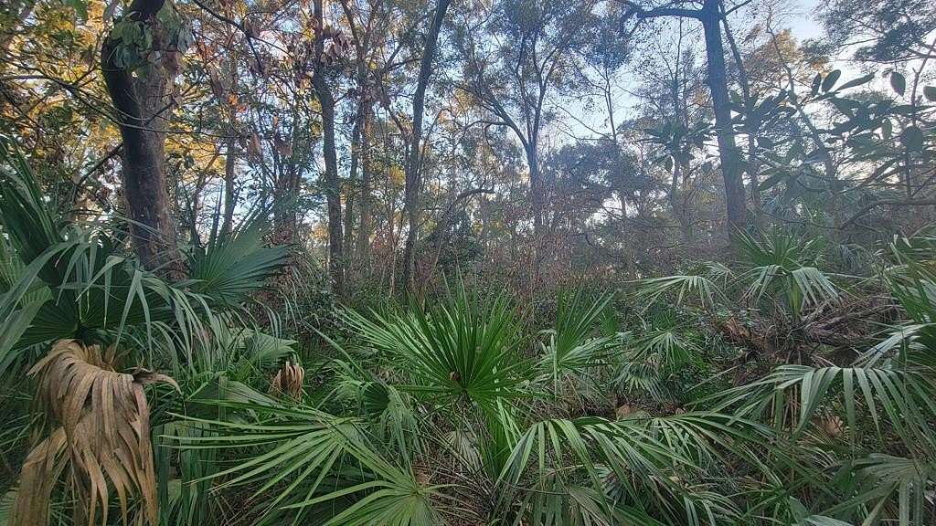 1.05 Acres of Residential Land for Sale in Chiefland, Florida