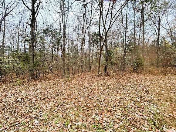 3.35 Acres of Land for Sale in Mountain View, Arkansas