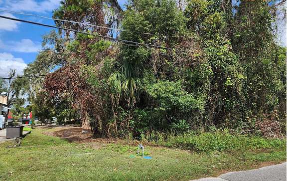 0.3 Acres of Residential Land for Sale in Live Oak, Florida