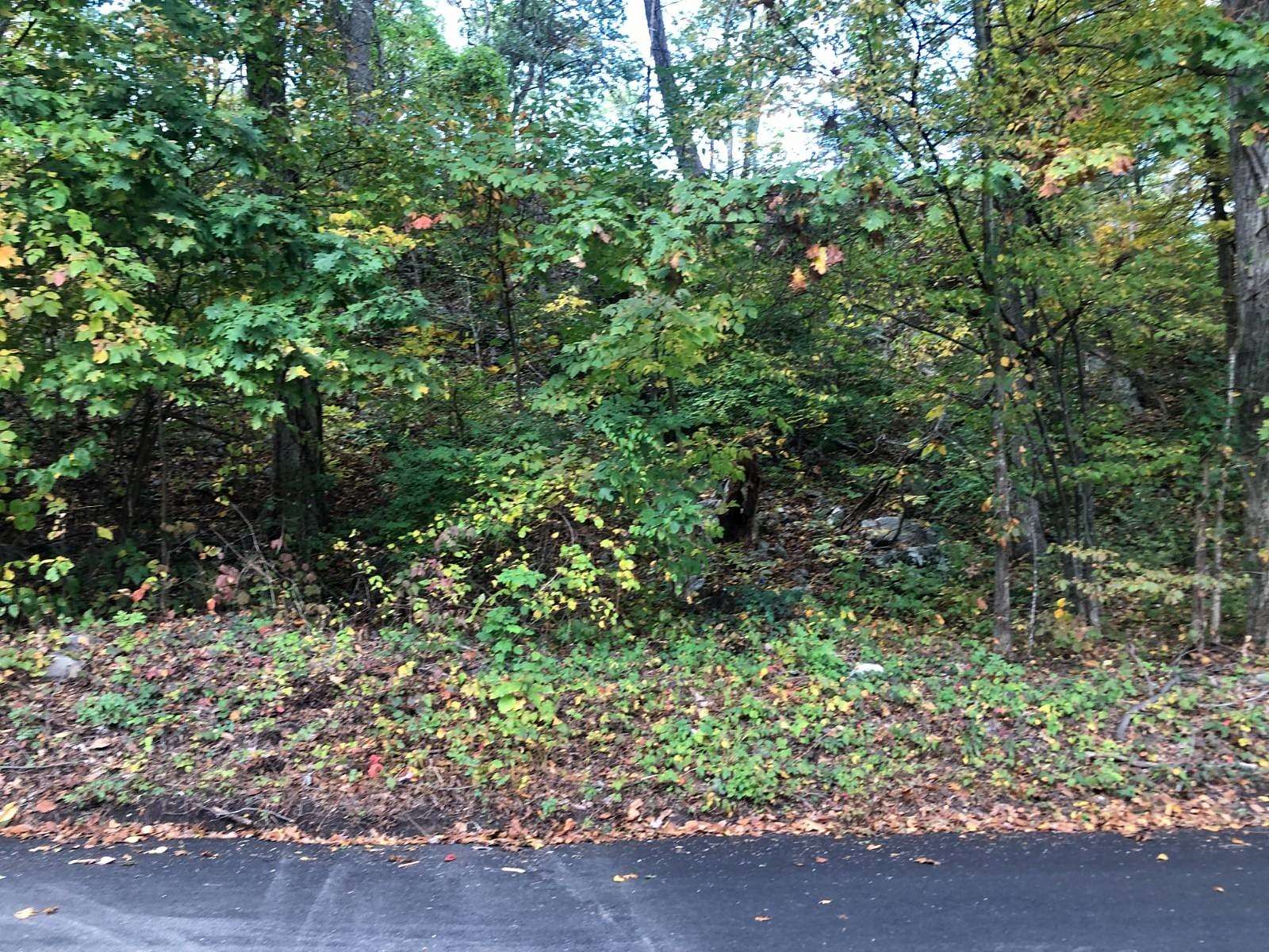 0.137 Acres of Commercial Land for Sale in Southeast Town, New York