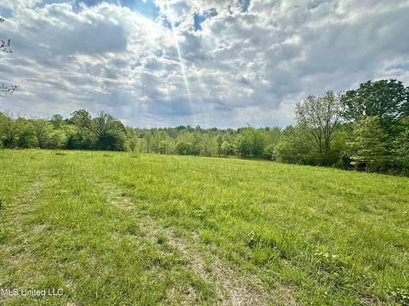 118 Acres of Land for Sale in Enid, Mississippi