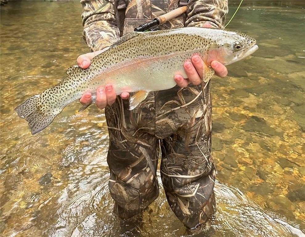 15 Acres of Recreational Land for Sale in Clarkesville, Georgia