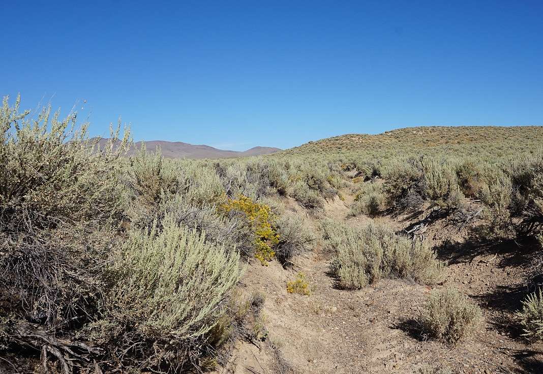 40 Acres of Recreational Land for Sale in Elko, Nevada