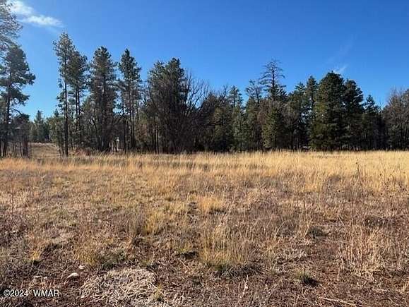 0.39 Acres of Residential Land for Sale in Show Low, Arizona