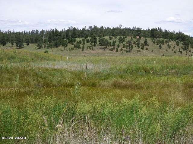 8.16 Acres of Residential Land for Sale in Alpine, Arizona