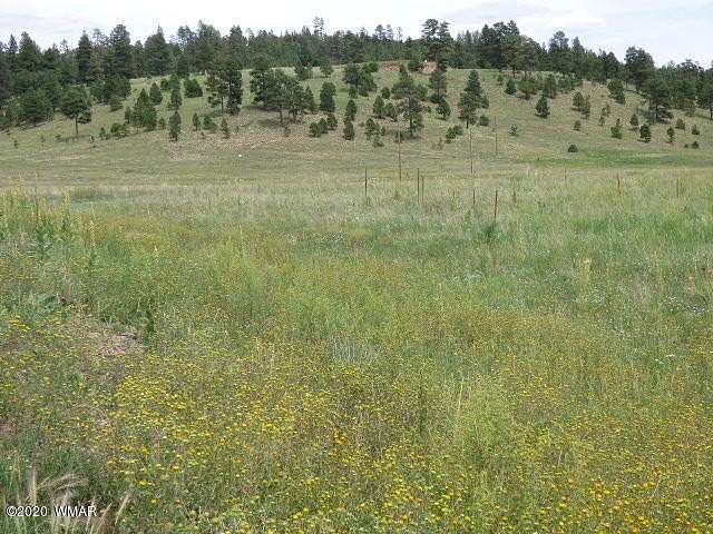 8.99 Acres of Residential Land for Sale in Alpine, Arizona