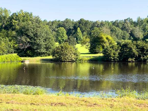 291 Acres of Recreational Land & Farm for Sale in Louisville, Georgia