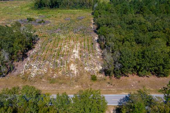 40.06 Acres of Recreational Land & Farm for Sale in Blackville, South Carolina