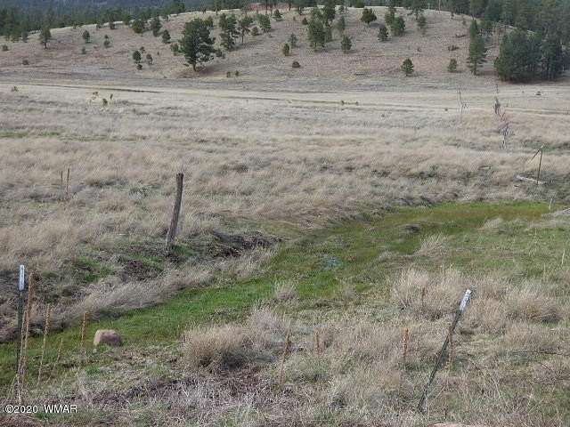 6.39 Acres of Residential Land for Sale in Alpine, Arizona