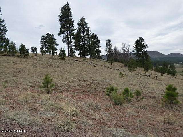 1 Acre of Residential Land for Sale in Alpine, Arizona