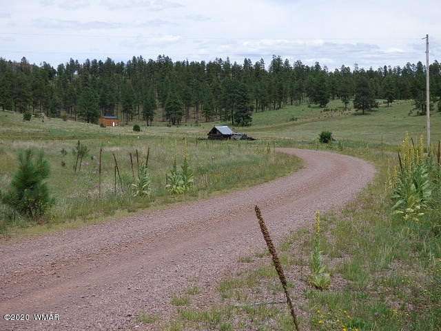 1.14 Acres of Residential Land for Sale in Alpine, Arizona