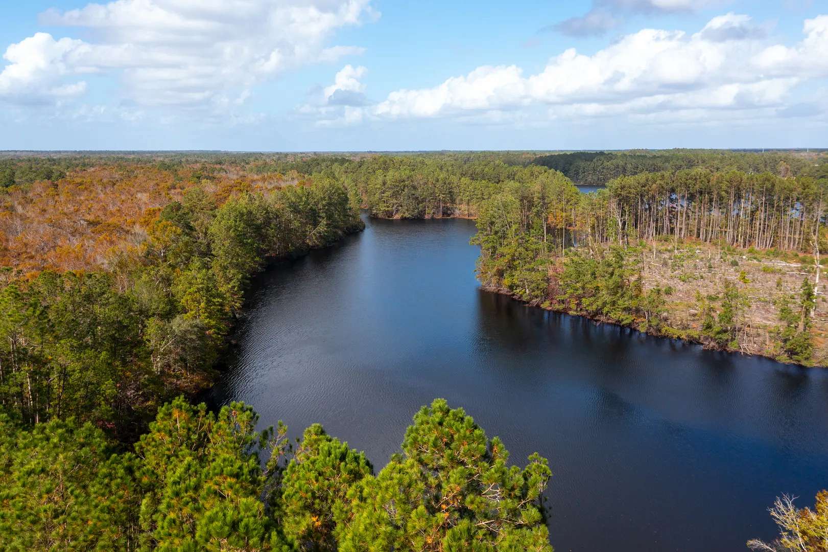 424 Acres of Land for Sale in Bloomingdale, Georgia