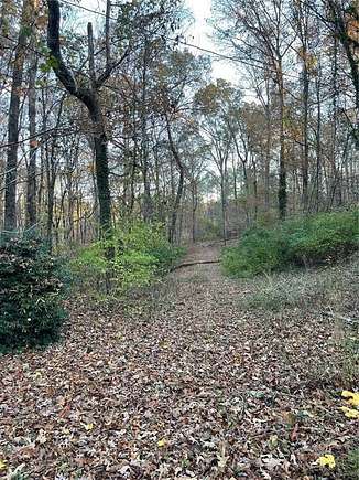 2.5 Acres of Residential Land for Sale in White City, Georgia