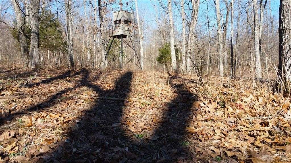 82 Acres of Land for Sale in Climax Springs, Missouri