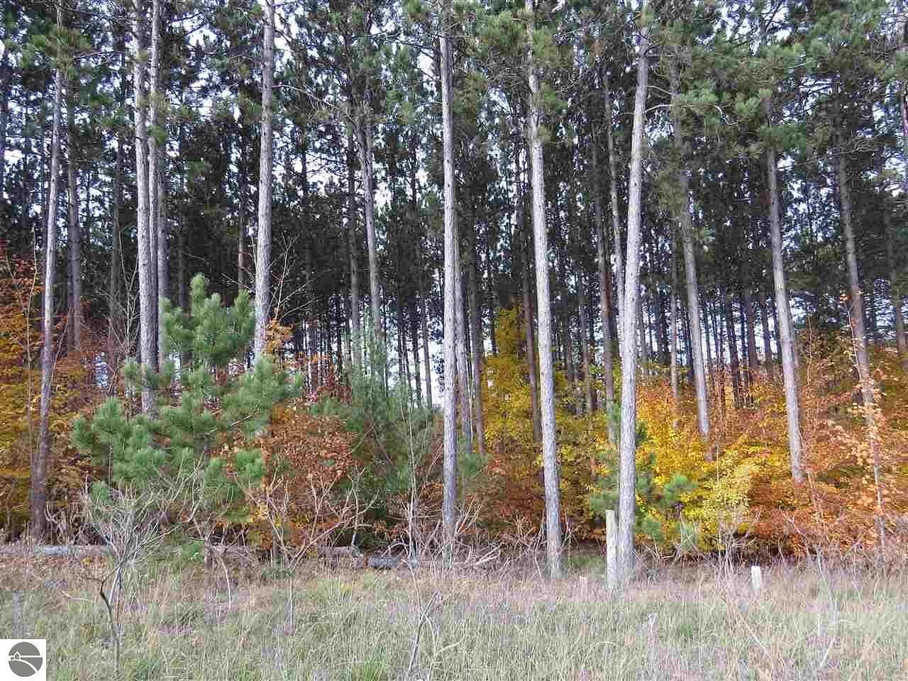 0.39 Acres of Residential Land for Sale in Kingsley, Michigan