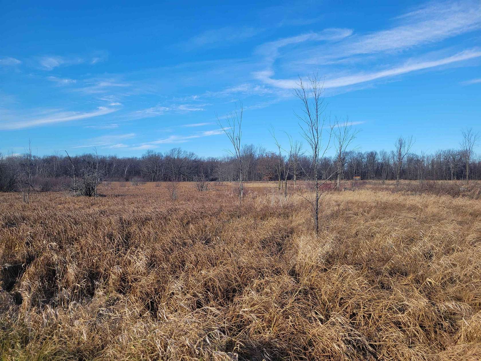 44.2 Acres of Agricultural Land for Sale in Redgranite, Wisconsin