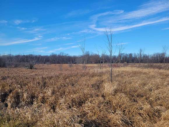 44.2 Acres of Agricultural Land for Sale in Redgranite, Wisconsin