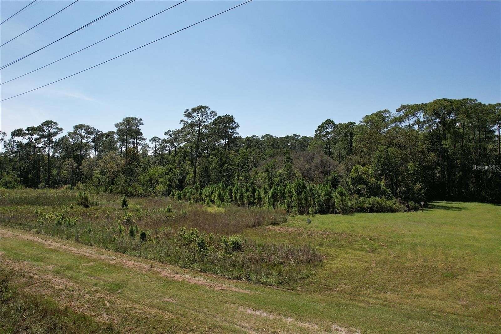 2.53 Acres of Residential Land for Sale in Haines City, Florida