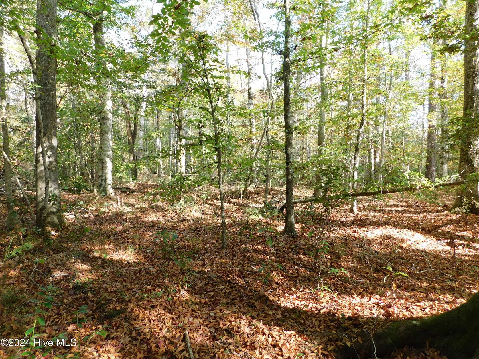 67.19 Acres of Land for Sale in Shiloh, North Carolina