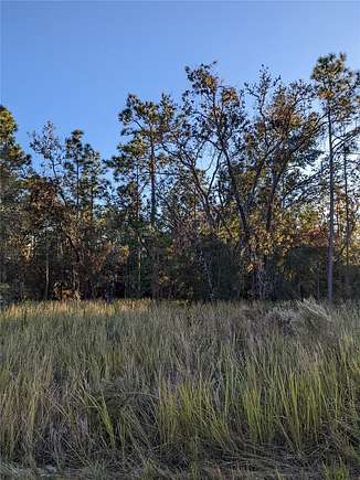 0.46 Acres of Residential Land for Sale in Brooksville, Florida