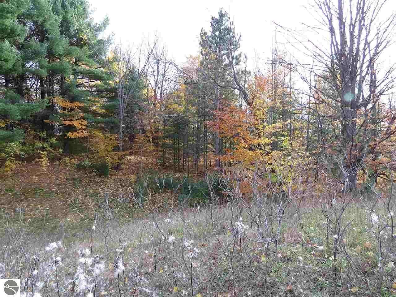 0.47 Acres of Residential Land for Sale in Kingsley, Michigan