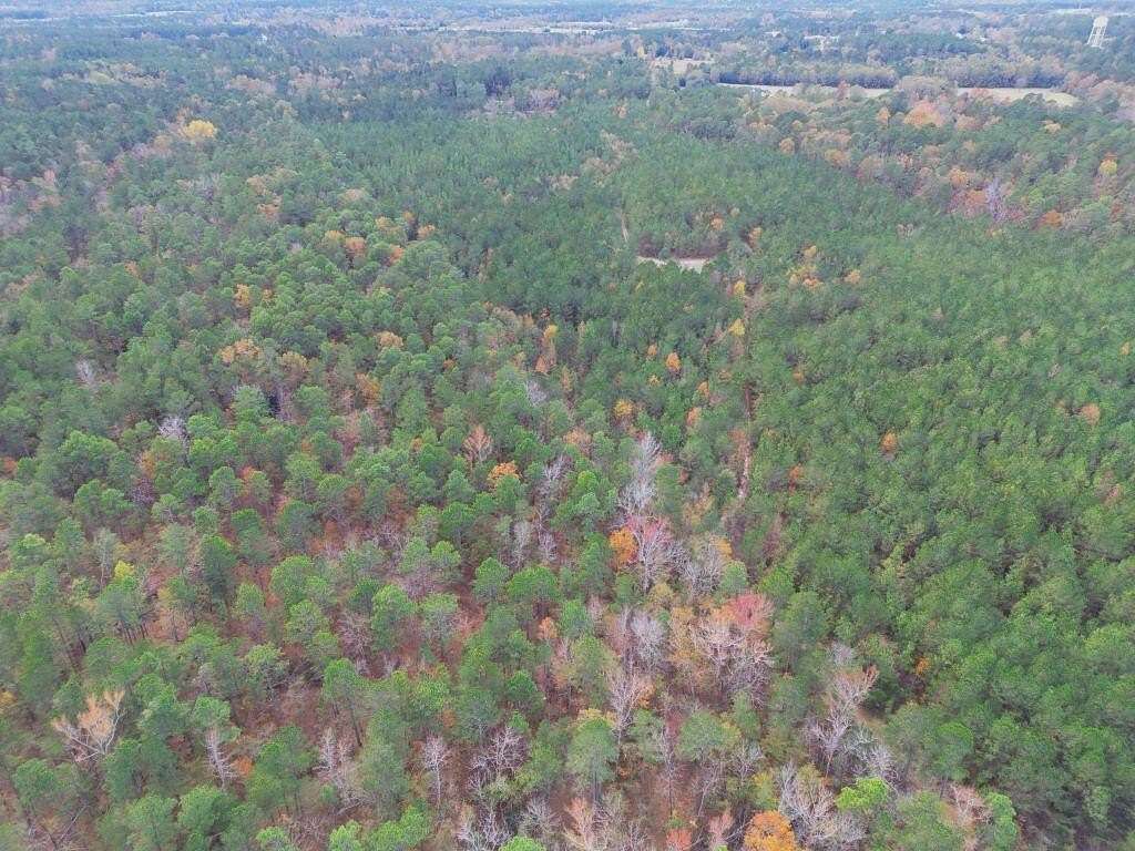 127.04 Acres of Agricultural Land for Sale in Aiken, South Carolina