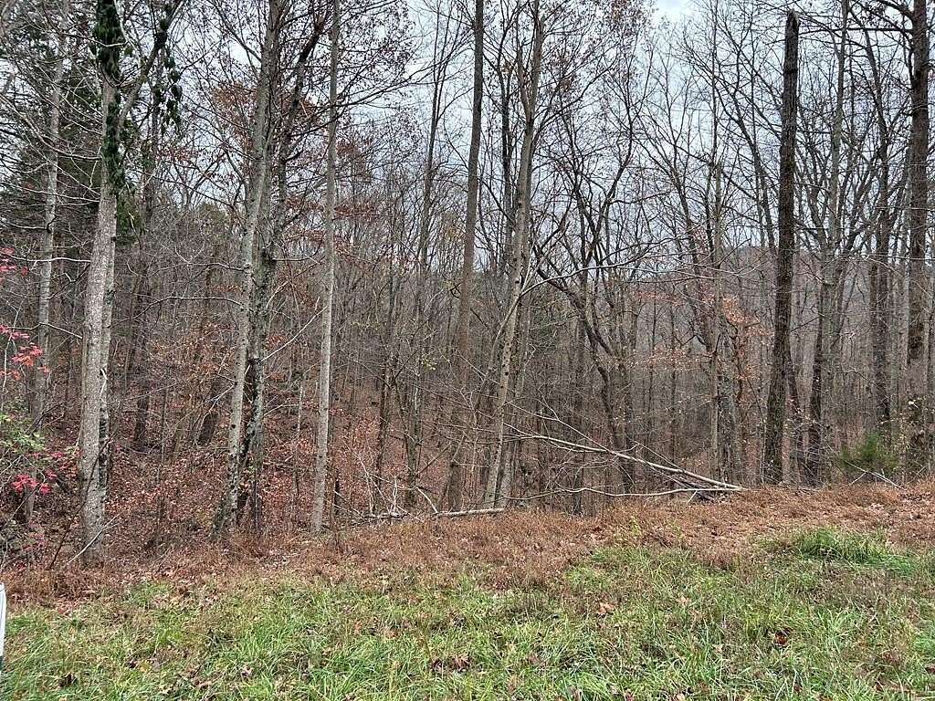 5.91 Acres of Residential Land for Sale in Jamestown, Tennessee